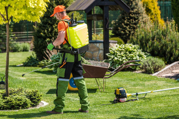 Outdoor Pest Control in Bayshore, OR